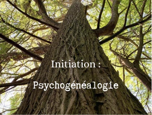 Construire son arbre généalogique