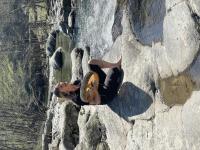 L’éclaireuse d’Âme